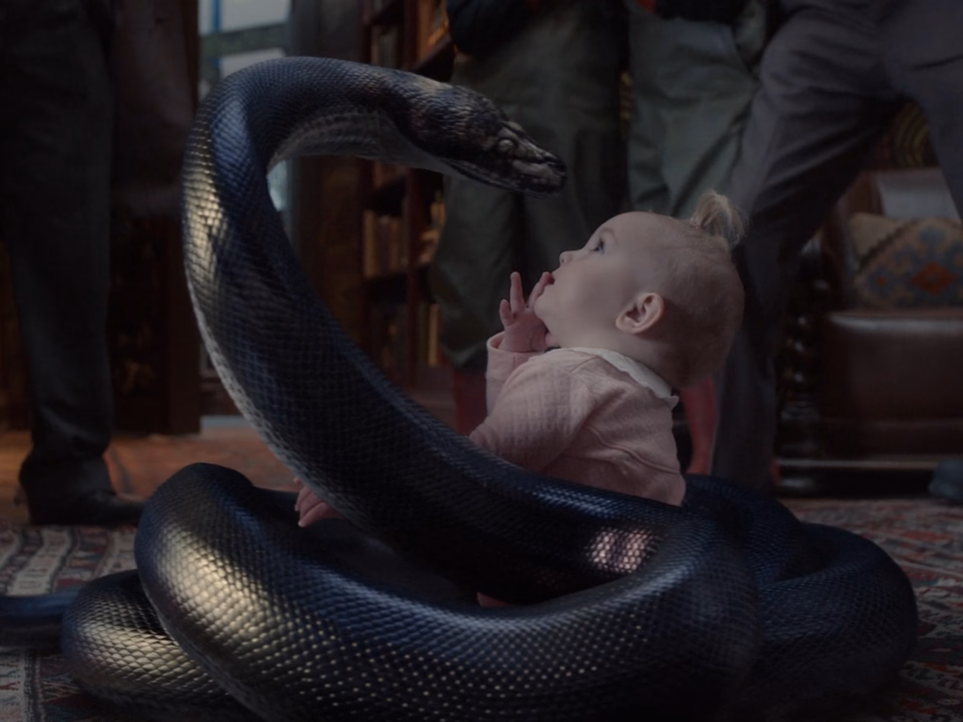Who is the snake guy in the series of unfortunate events?