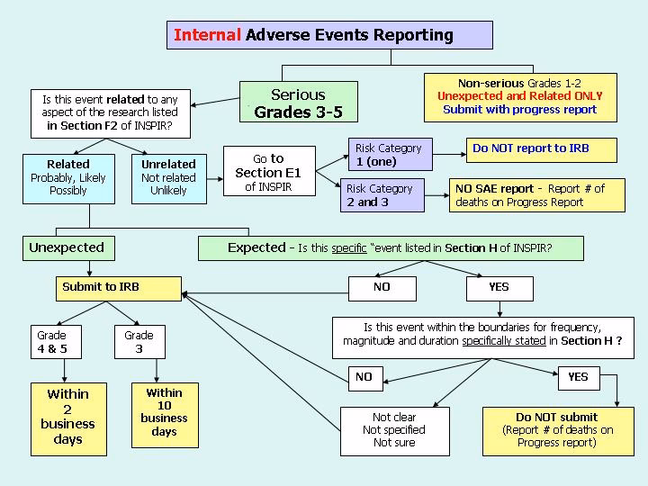 How are adverse events classified?