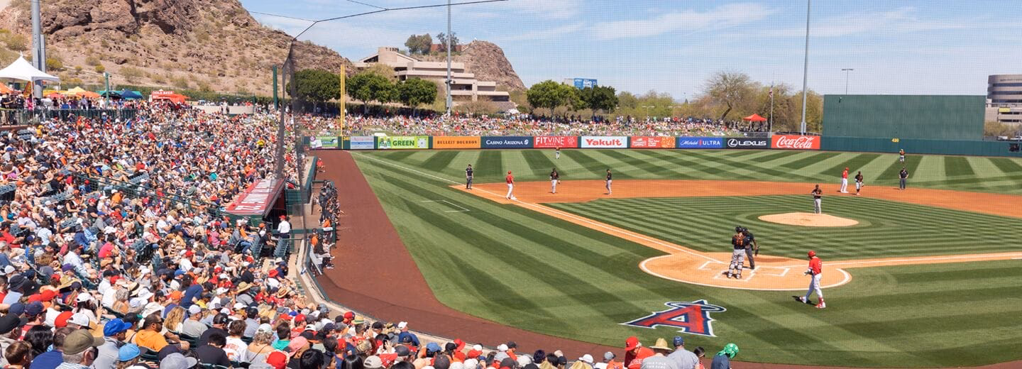 Does Arizona have any sports championships?