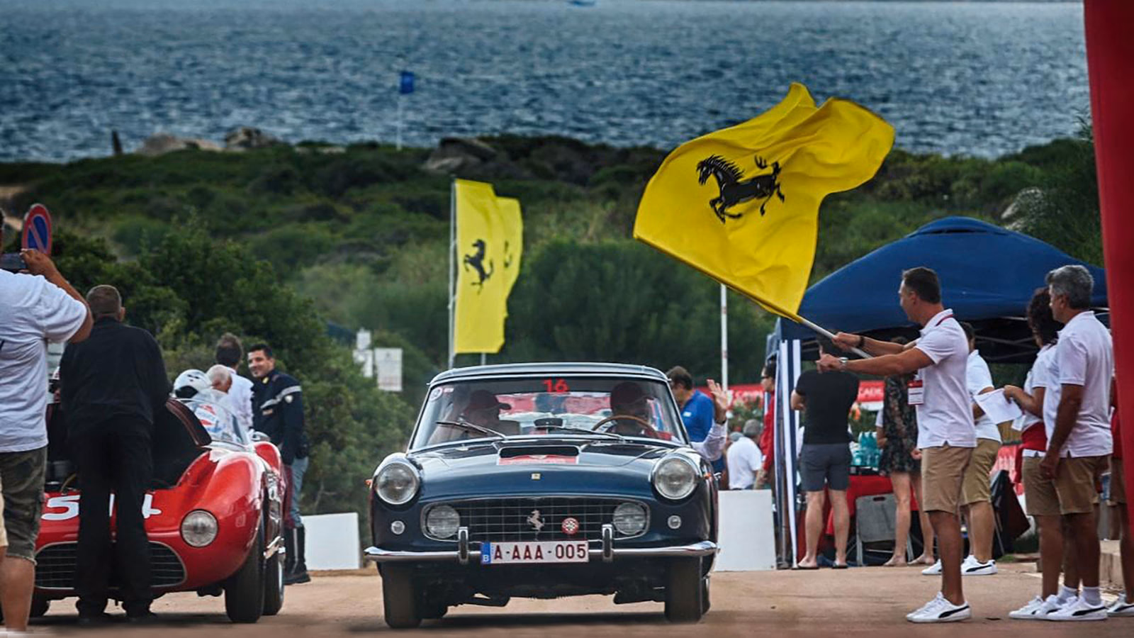 What do you do at a car rally?