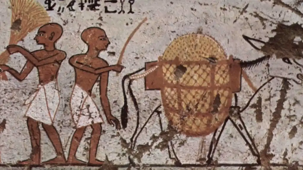 ¿Cómo se dio la decadencia de Egipto?