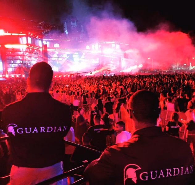 What are the security issues with concerts?