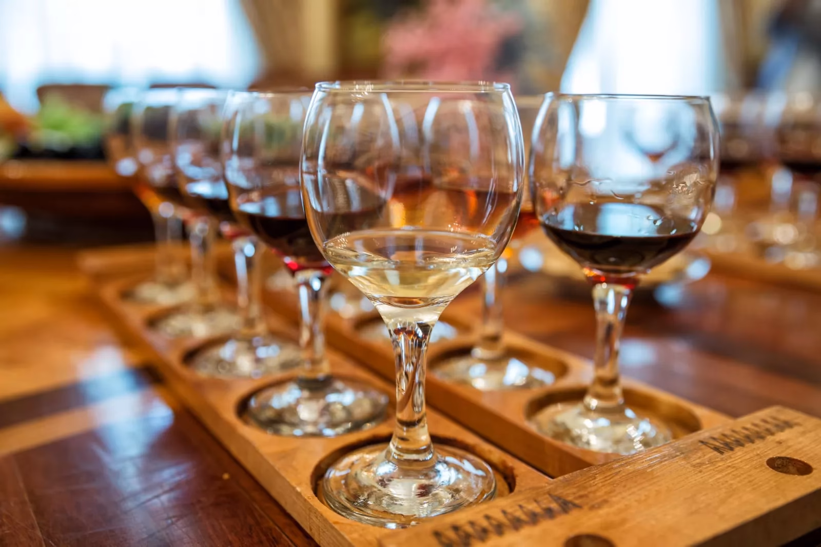 ¿Cuál es la mejor zona de vinos en Argentina?