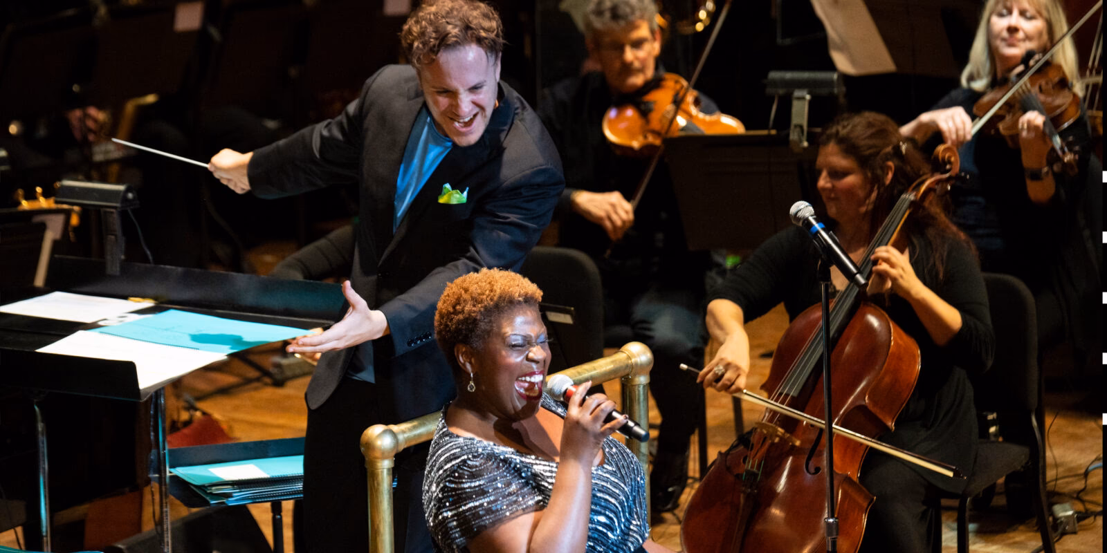 What are the 4 types of orchestra?