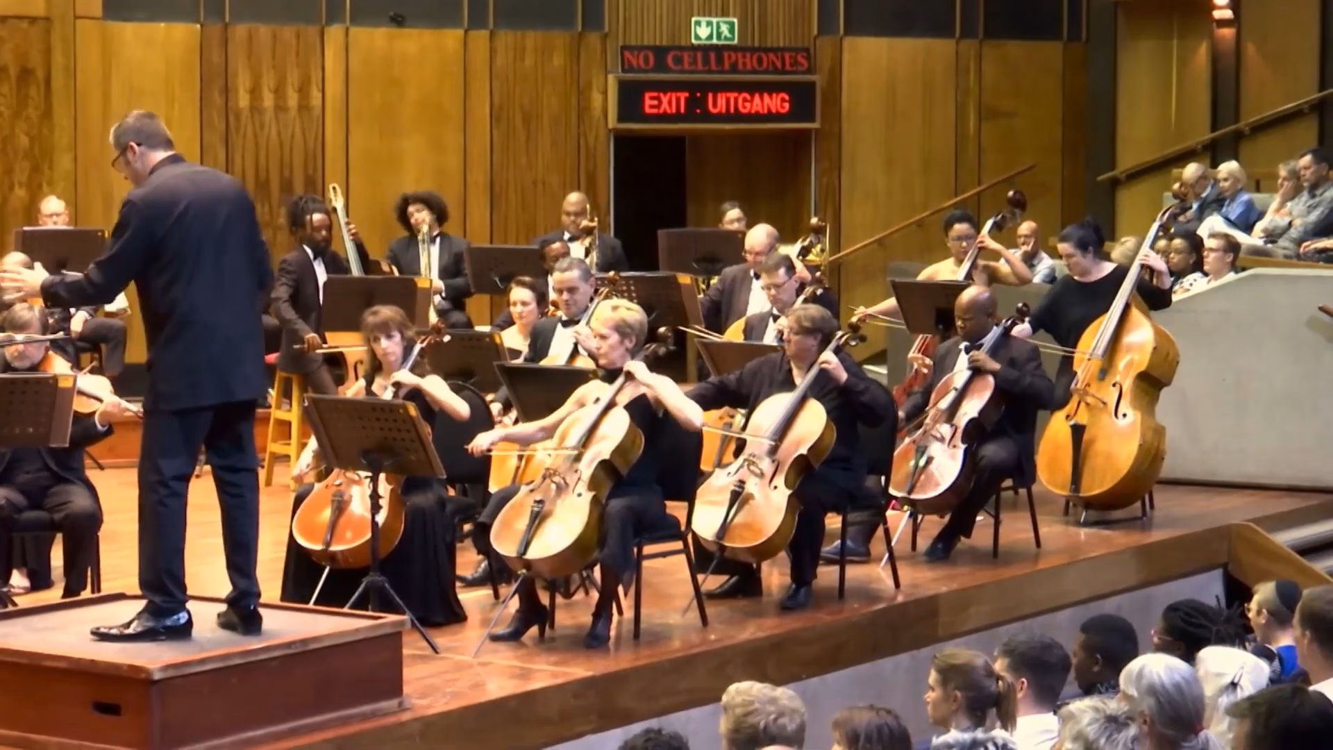 What are the 4 types of orchestra?