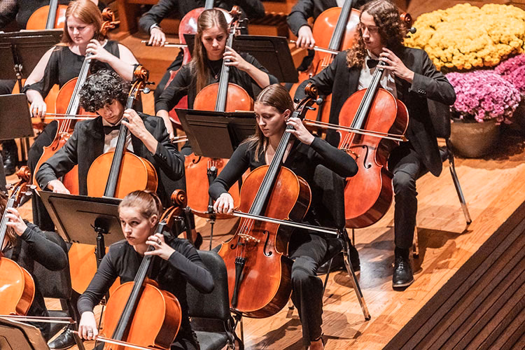 What are orchestra concerts called?