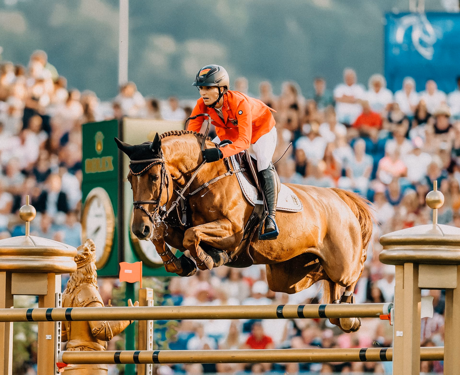 What are the different levels of show jumping?